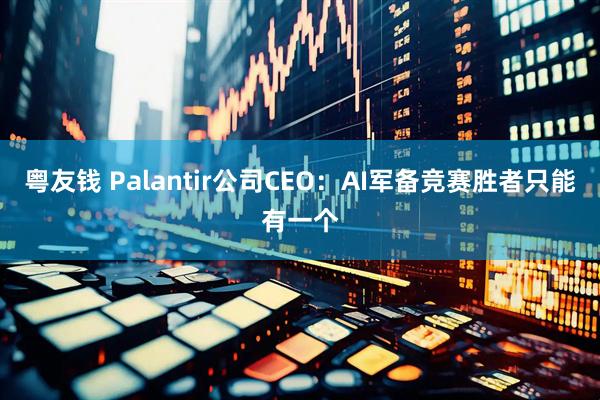 粤友钱 Palantir公司CEO：AI军备竞赛胜者只能有一个