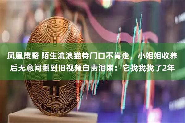 凤凰策略 陌生流浪猫待门口不肯走，小姐姐收养后无意间翻到旧视频自责泪崩：它找我找了2年