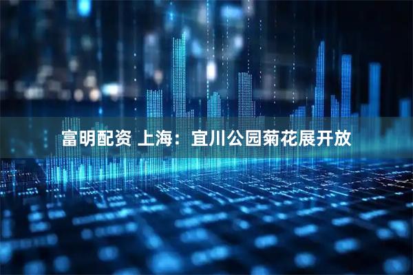 富明配资 上海：宜川公园菊花展开放